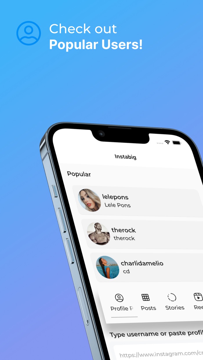 Instabig Reels Photo Video