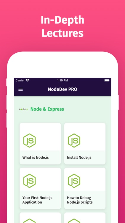 Learn Node.js Development PRO screenshot-3