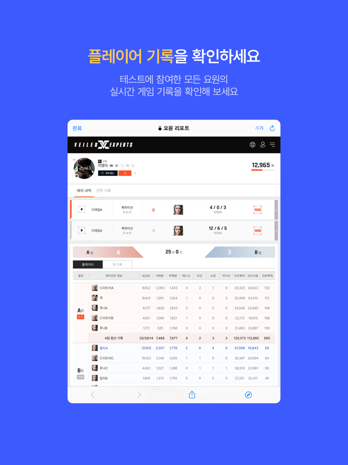 Veiled Experts Companion