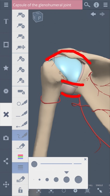 Primal's 3D Shoulder screenshot-4