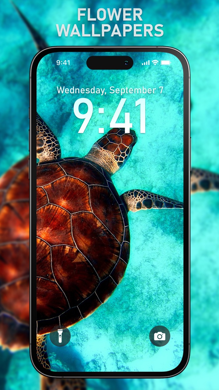 HD Wallpapers and Themes 4k