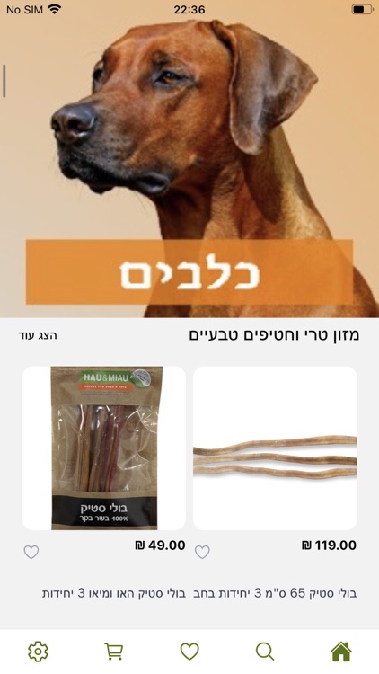 קן התוכי