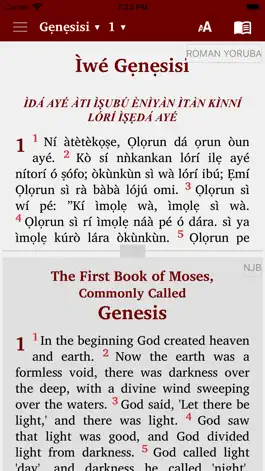 Game screenshot Yoruba & English Bible apk