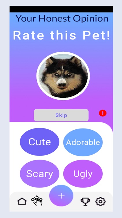 Pet Share Photo Voting Game screenshot-0