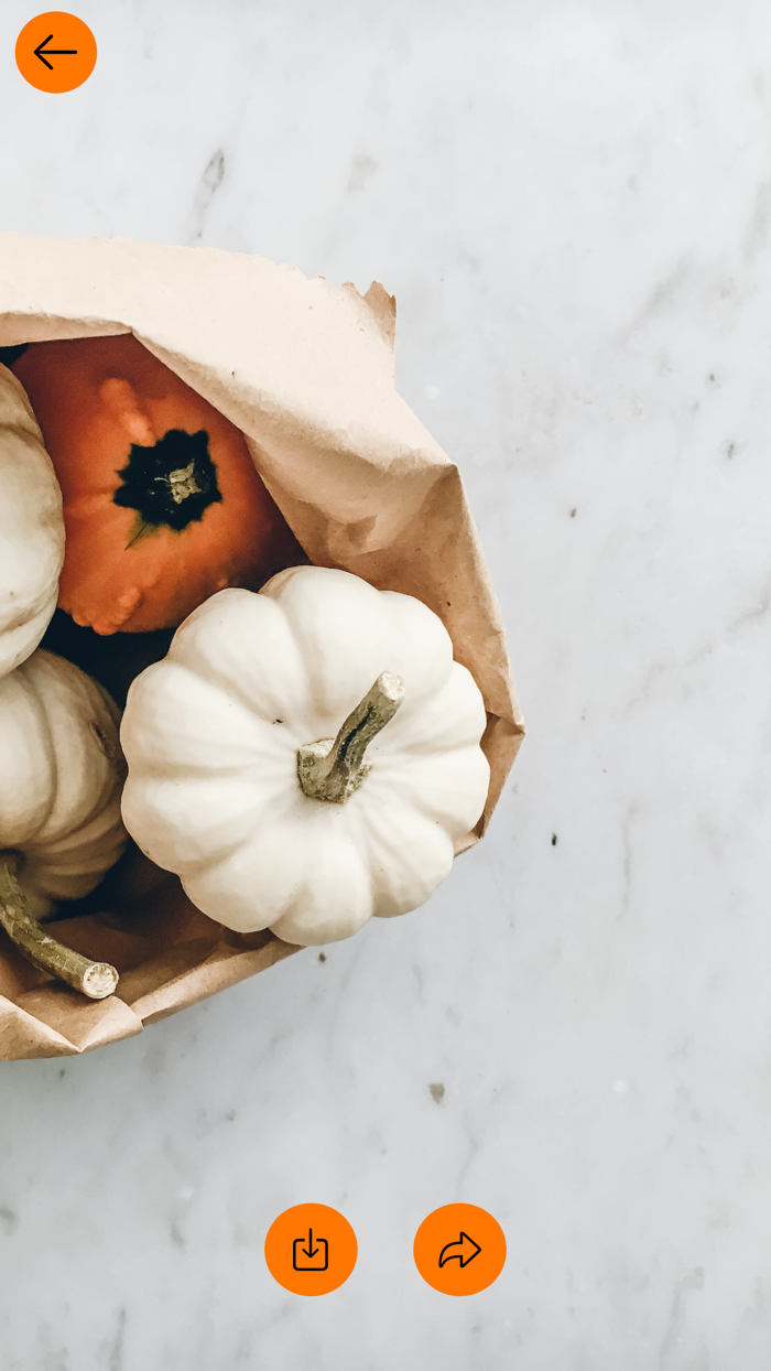 Halloween Wallpapers 2023