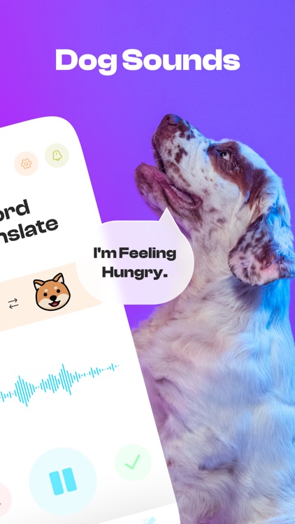 Bark translator hot sale app