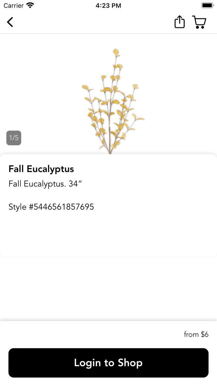 Shop Olive Tree Marketplace