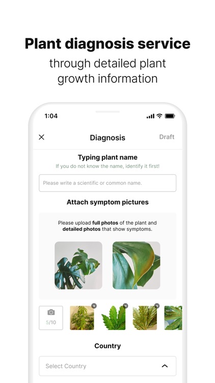 WithPlant screenshot-3