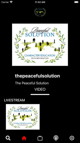 Game screenshot Peaceful Solution mod apk
