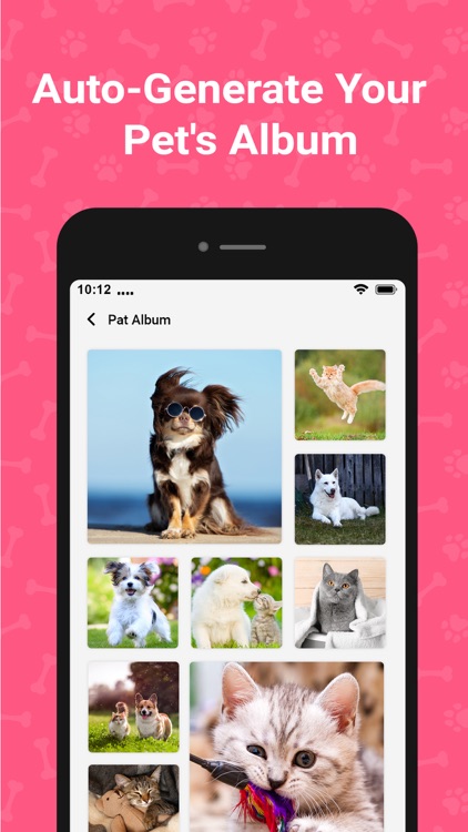 Cat & Dog Translator - Dogify screenshot-4