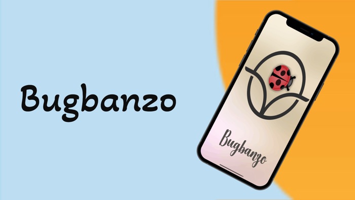 Bugbanzo- LadyBug On Move