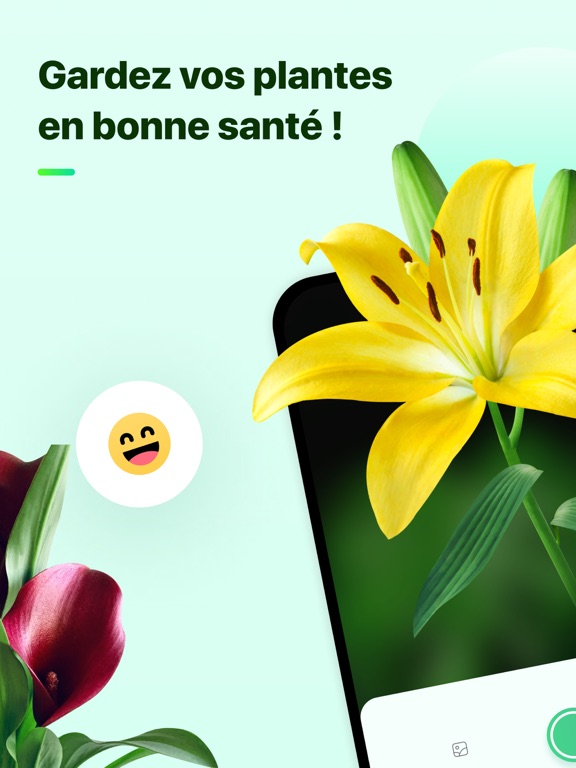 Plant Parent - Guide entretien Plant Parent - Guide entretien