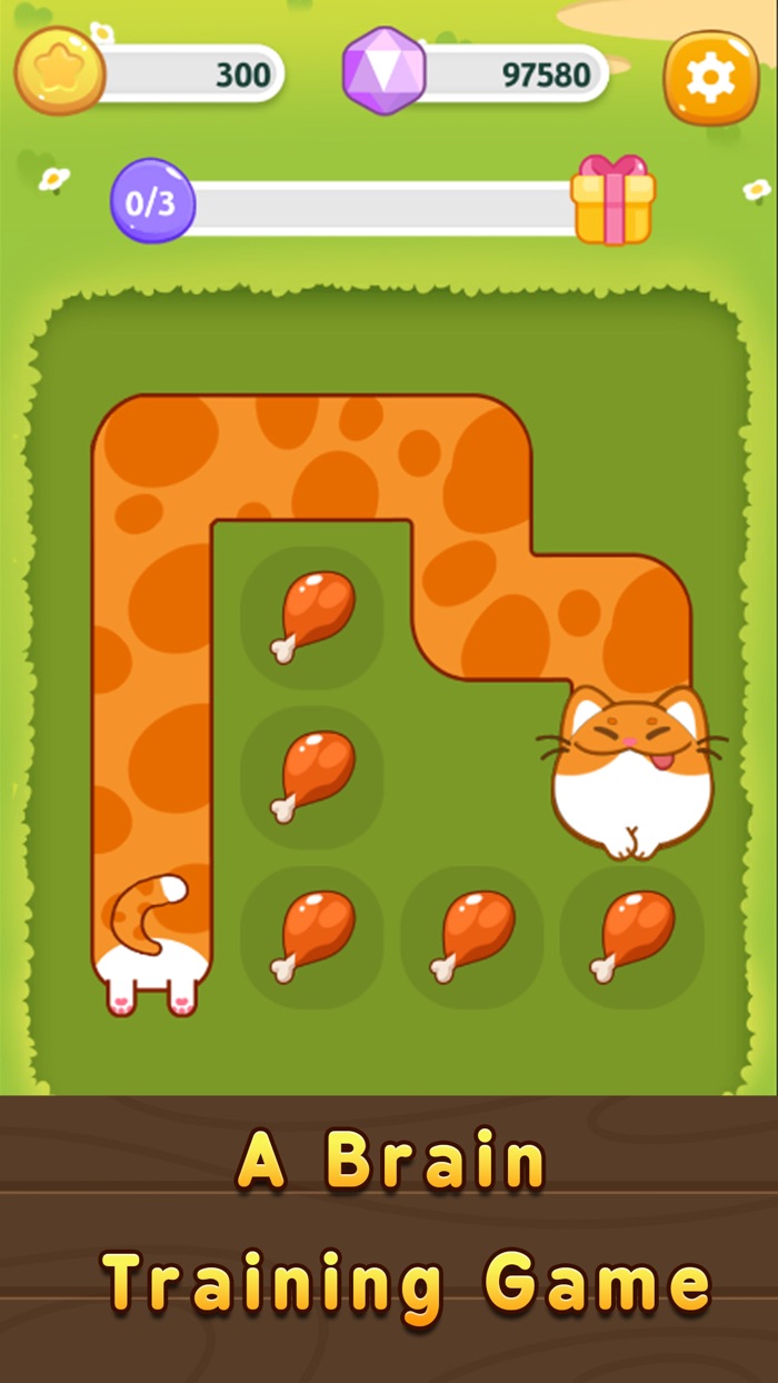 Longcat Puzzle - Brain Puzzle