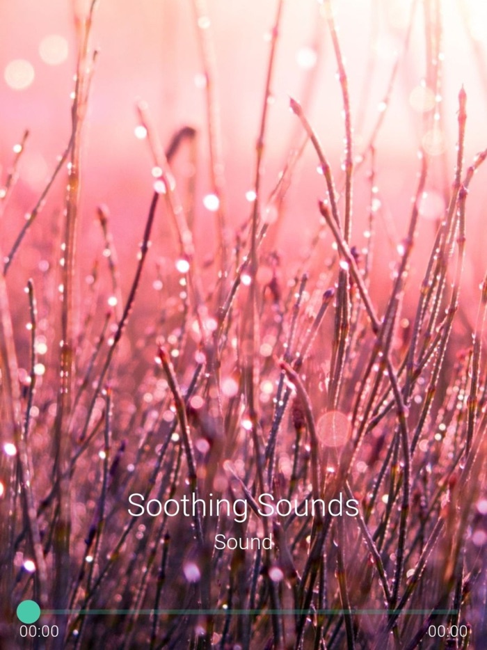 Soothing Sounds Pro Plus