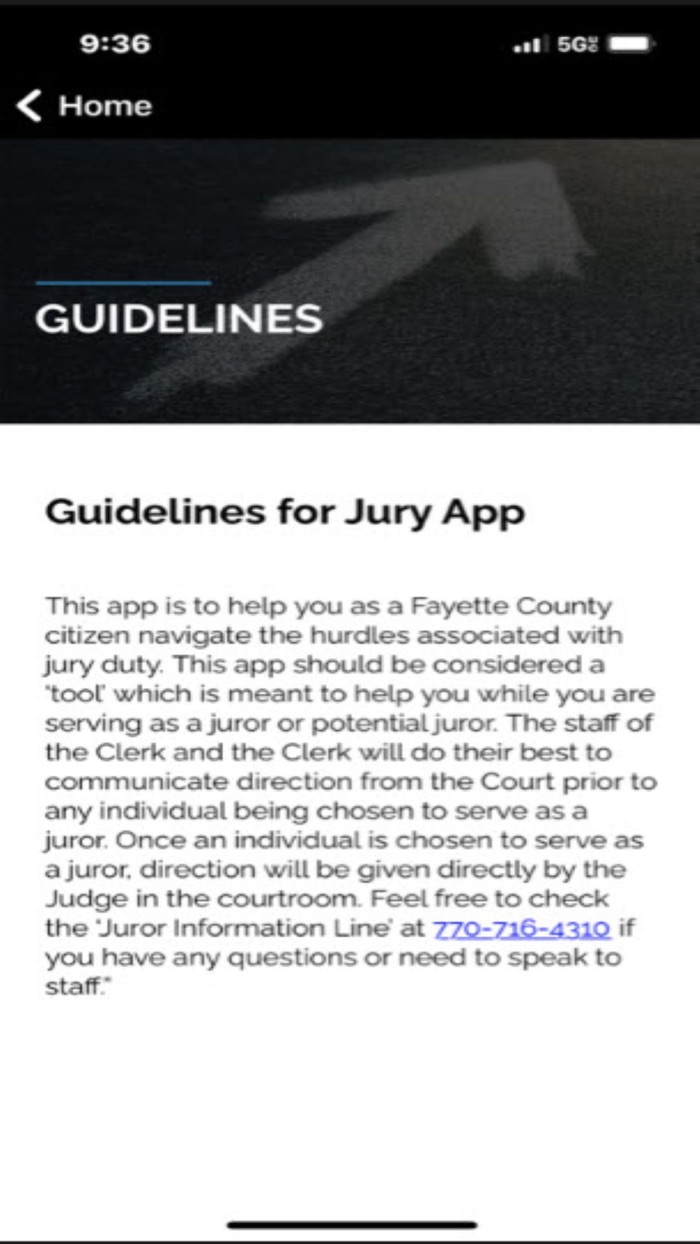 Fayette County Georgia Jury