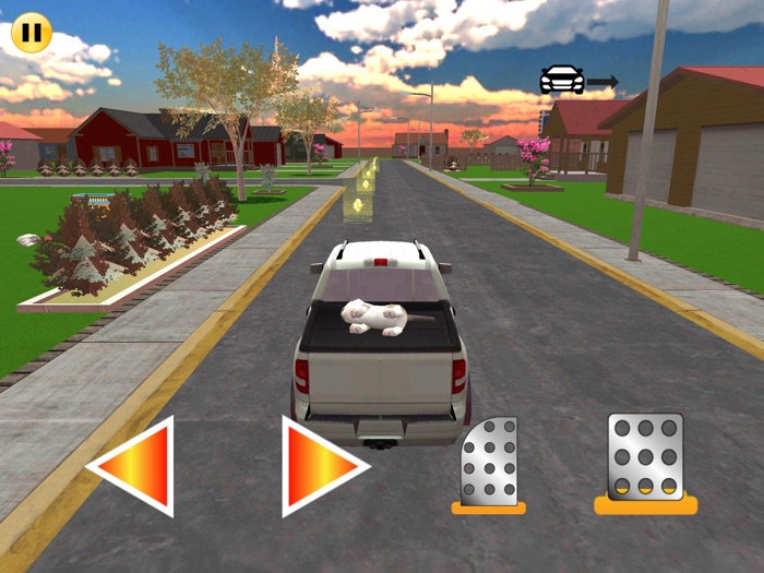 Virtual Cat Pet Games