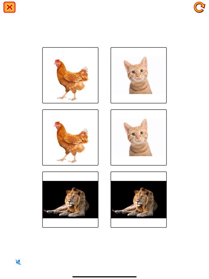 Animal Names and Sounds