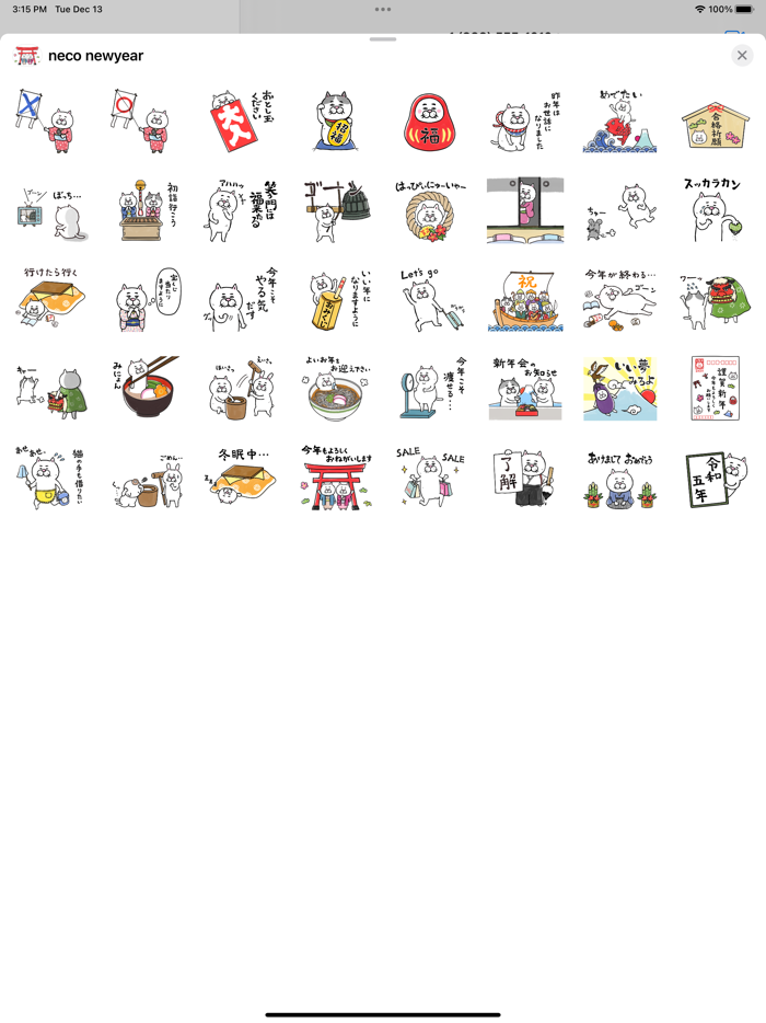 目つきの悪い猫　年末年始