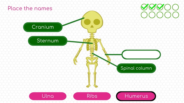 Human Body Adventure Game by Didactoons Games SL