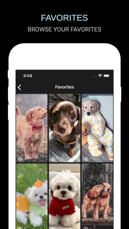 Funny Dog & Puppy Wallpapers screenshot-4