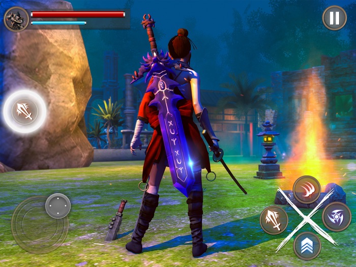 Sword Ninja Fighter Samurai