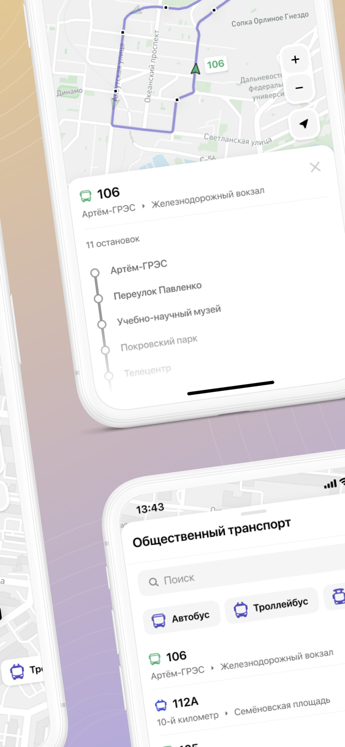 Цифровое Приморье