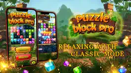 Game screenshot Puzzle Block Pro mod apk