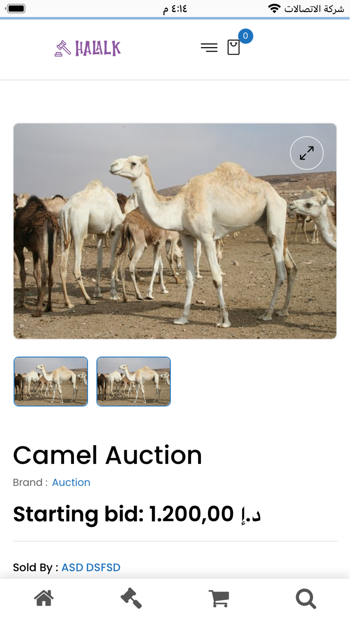 Camel world