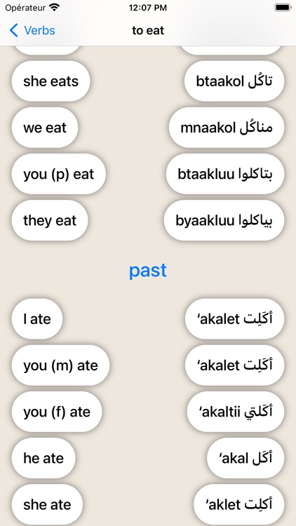 Marhaba - Learn Syrian Arabic screenshot-9