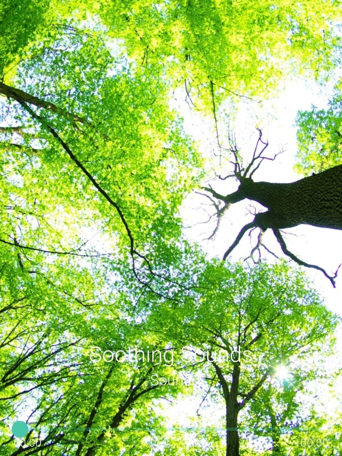 Soothing Sounds Pro Plus