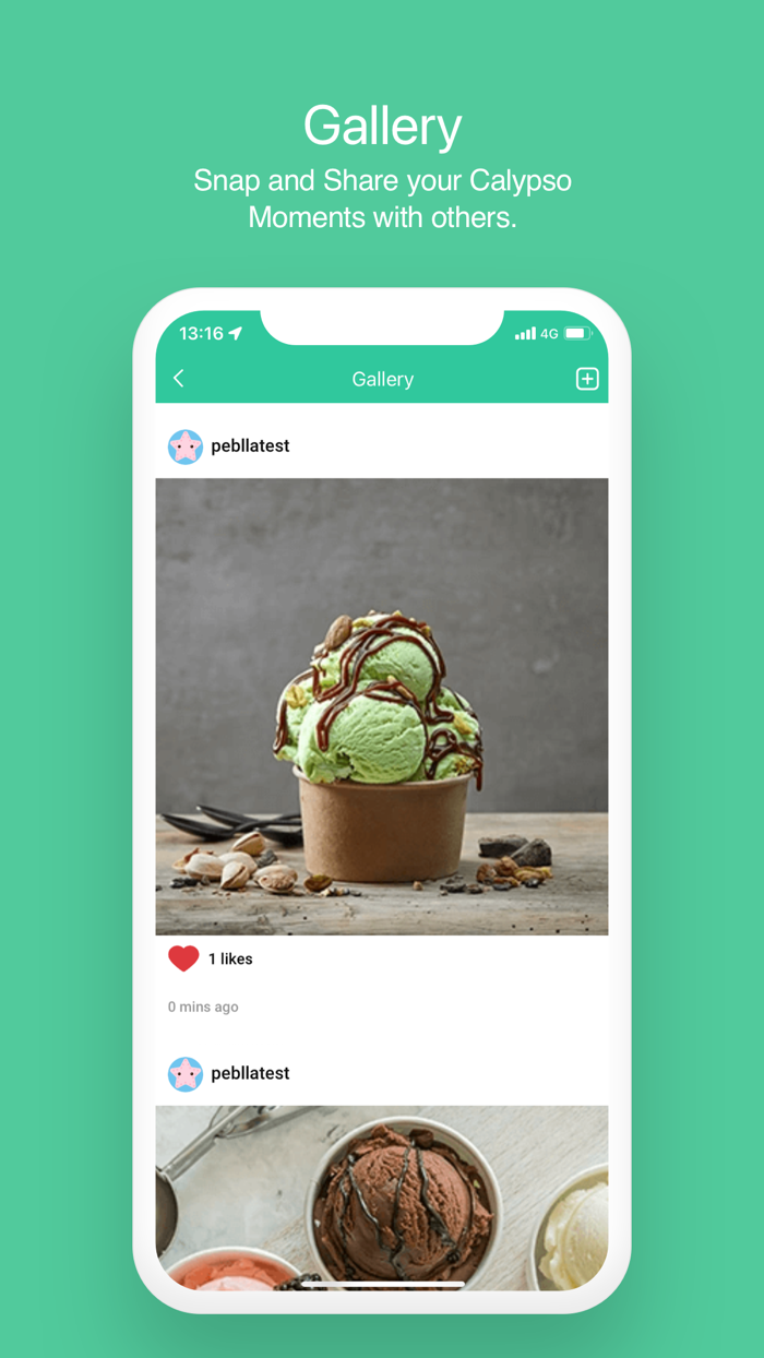 CALYPSO ICE CREAM  COFFEE