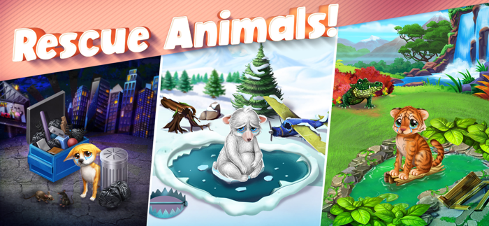 Cook Off Animal Rescue