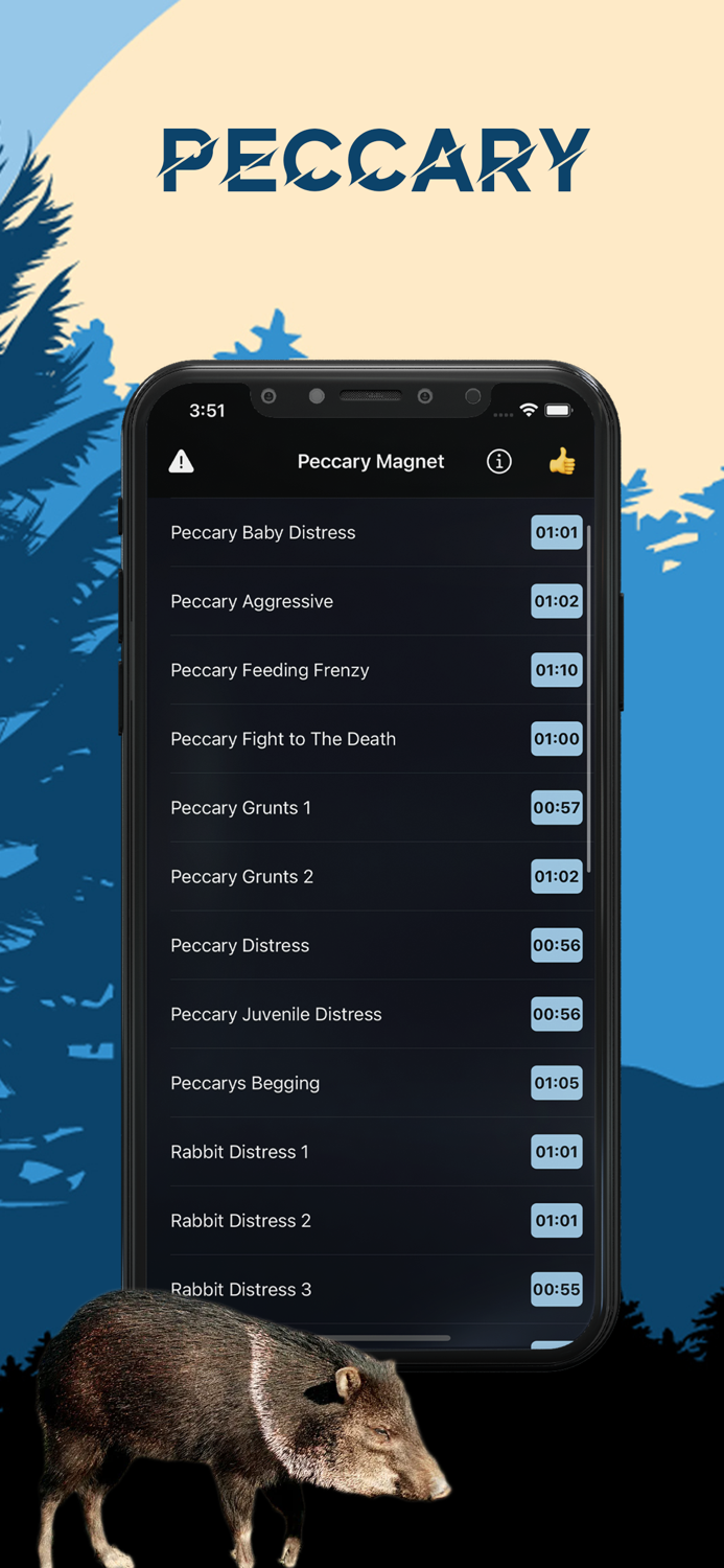 Peccary Magnet - Animal Calls