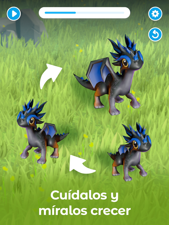 My Virtual Dragon Pet House