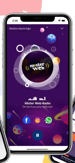 Game screenshot Mister Web Radio apk