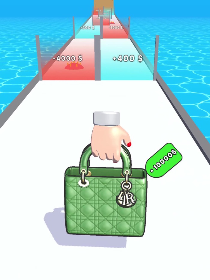 Purse Evolution 3D