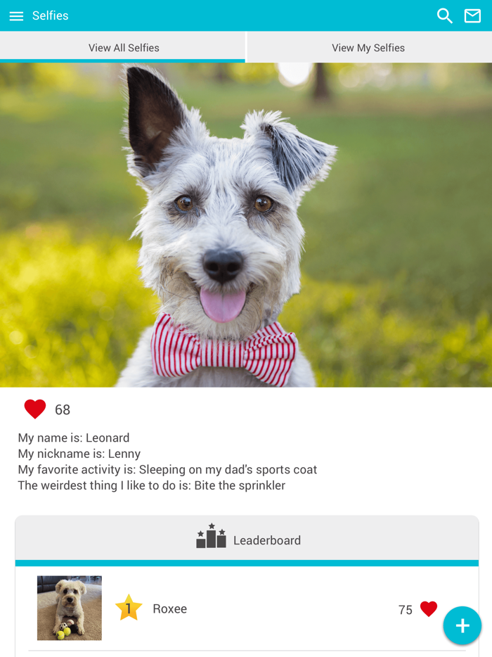 Hawthorne Animal Hospital