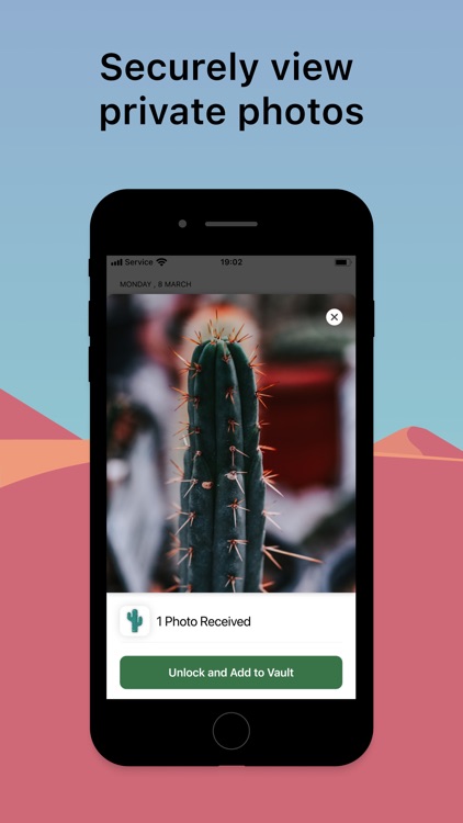 Cacti: AI-Powered Photo Vault screenshot-3