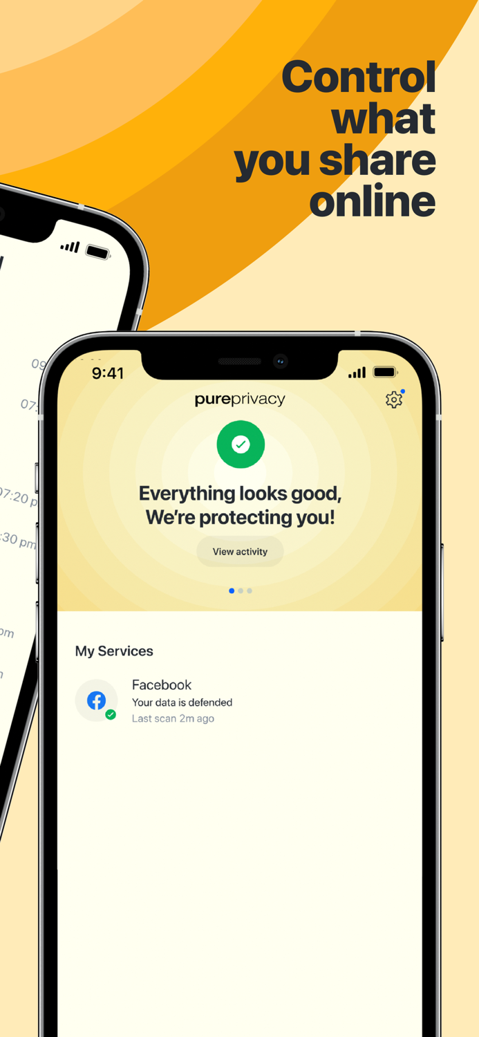 PurePrivacy Digital Security