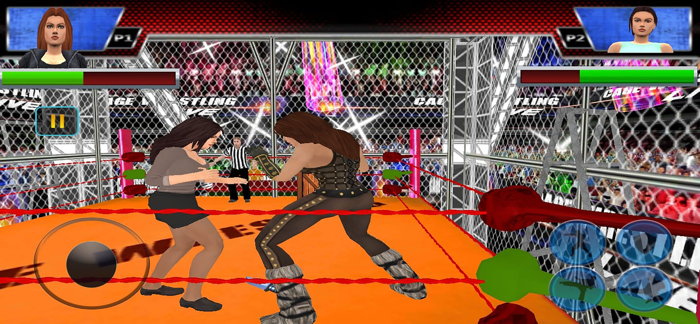 Girls Wrestling Ring Fight 3D