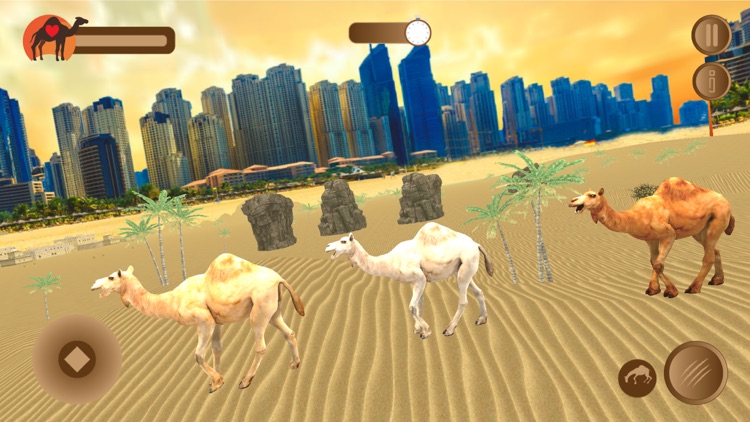 Dubai Desert Camel Simulator