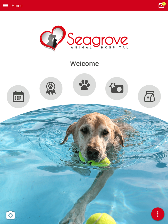 Seagrove Animal Hospital