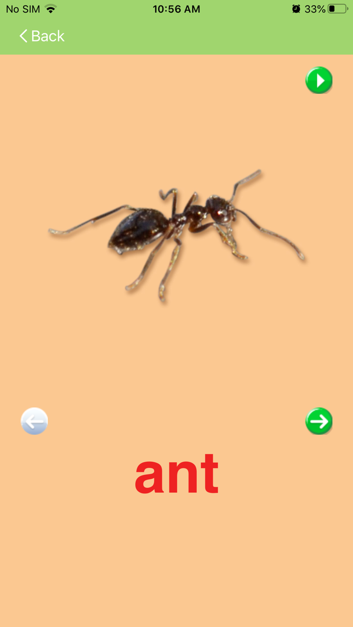 Letter of the Week Lite