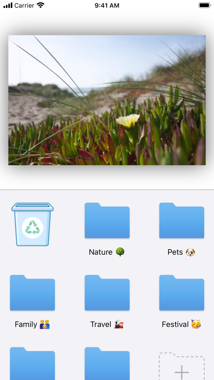 Pictize Camera Roll Organizer