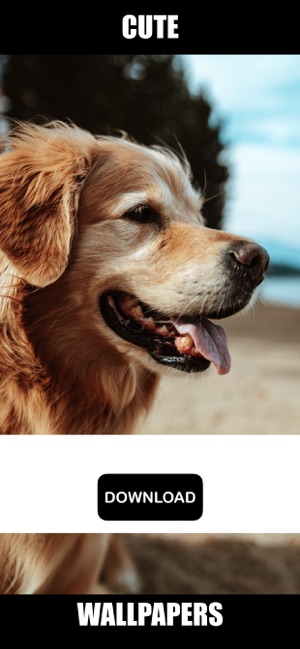 Dog & Puppy Wallpapers - woof!(圖6)-速報App