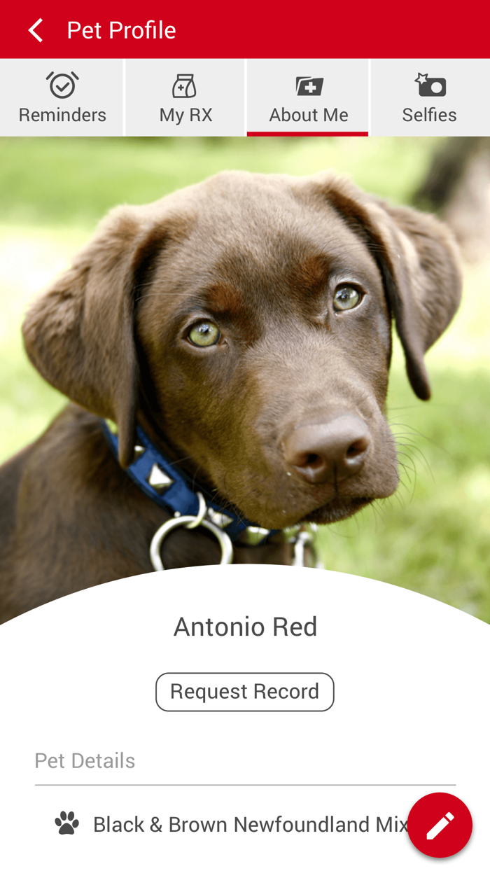 Upper Keys Veterinary Hospital