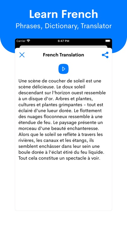 Learn French - Beginners screenshot-4