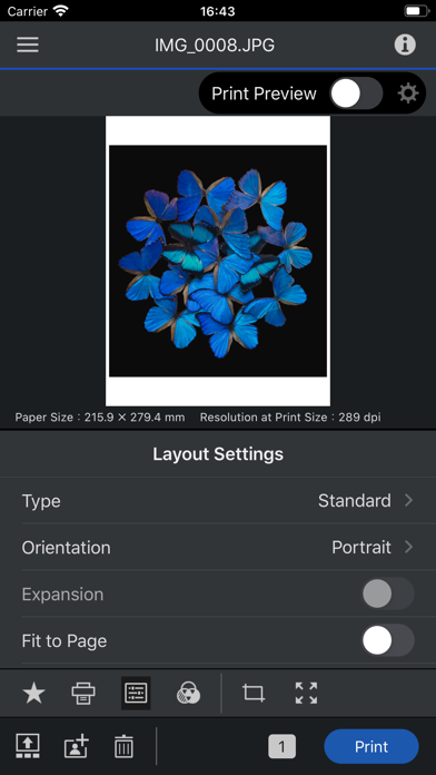 Epson Print Layout screenshot 3