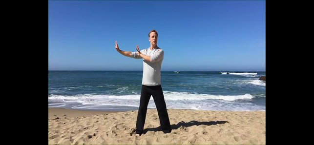 Qi Gong 30 Day Challenge(圖5)-速報App