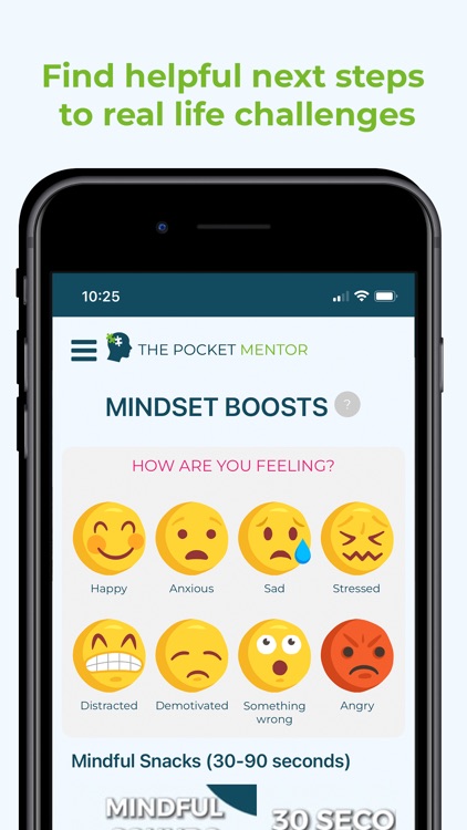 The Pocket Mentor screenshot-3